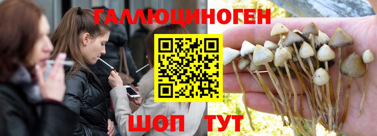 Псилоцибиновые грибы Cubensis  Галлюциногенные грибы MAGIC MUSHROOMS  купить наркотик  Вход с VPN  Нижнекамск 
